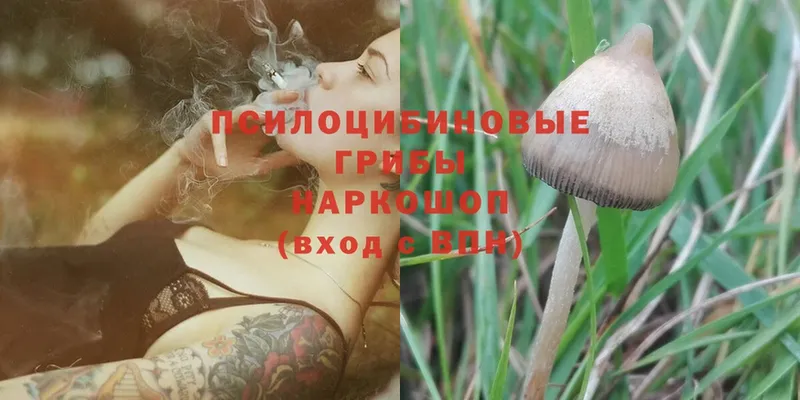 Галлюциногенные грибы MAGIC MUSHROOMS  Амурск 